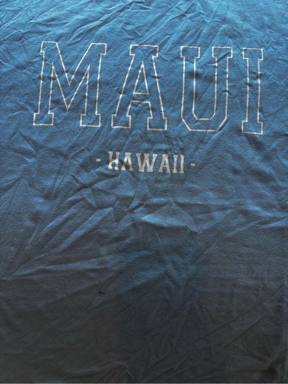 Maui Hawaii Men's Graphic Tee - Blue